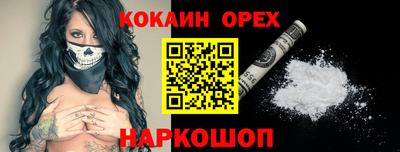 СК Кингисепп