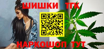 СК Кингисепп