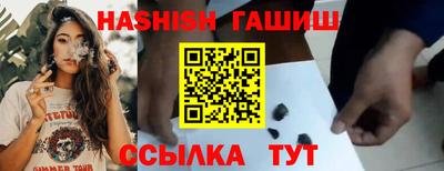 СК Кингисепп