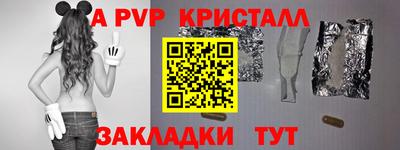 СК Кингисепп