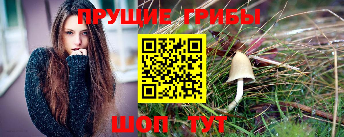 Галлюциногенные грибы GOLDEN TEACHER Красноармейск