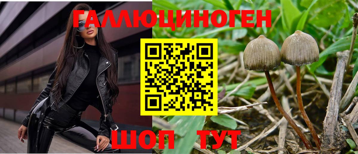 Галлюциногенные грибы прущие грибы  Вход с VPN  Красноармейск 